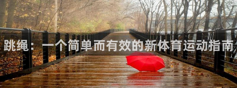 一竞技官网下载是干嘛的公司：跳绳：一个简单而有效的新体育运动