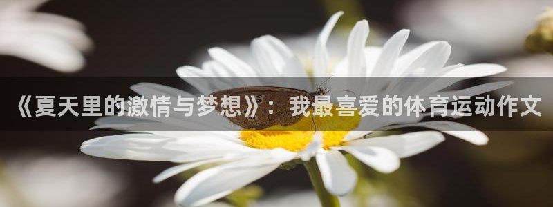 一竞技官方正版app娱乐：《夏天里的激情与梦想》：我