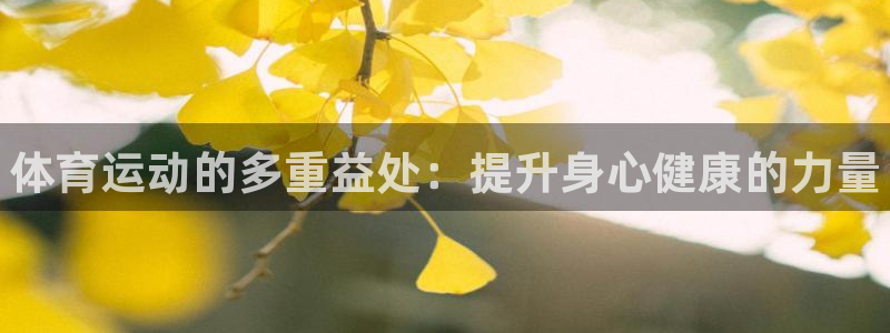 一竞技官方正版app集团