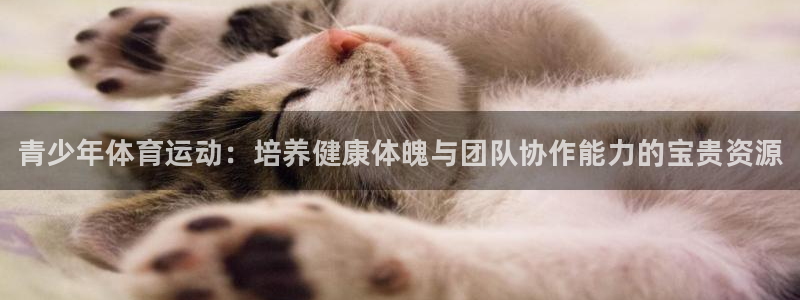 一竞技官方正版app集团官网首页网址：青少年体育运动：培养健