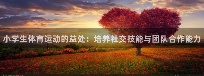 一竞技官网下载招商：小学生体育运动的益处：培养社交技