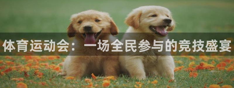 一竞技官方正版app官网：体育运动会：一场全民参与的