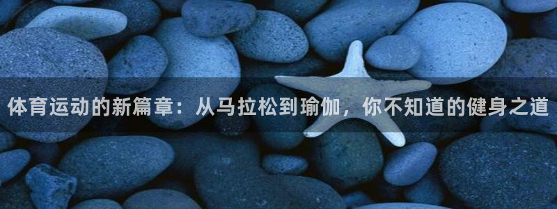 一竞技官方平台体育：体育运动的新篇章：从马拉松到瑜伽