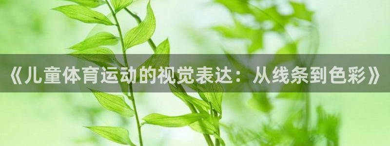 一竞技官方正版app娱乐网站：《儿童体育运动的视觉表