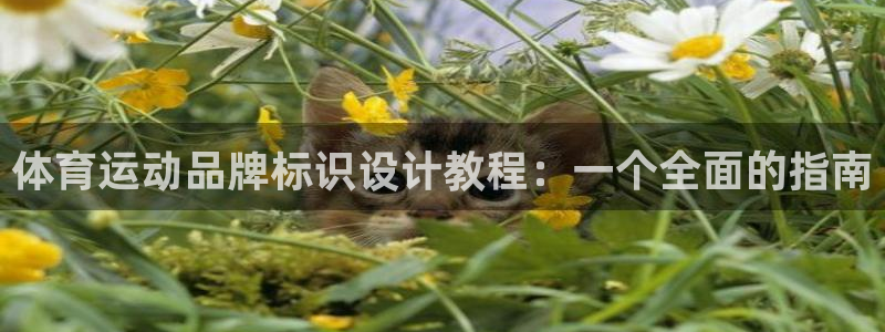 一竞技官方正版app集团E.ON：体育运动品牌标识设