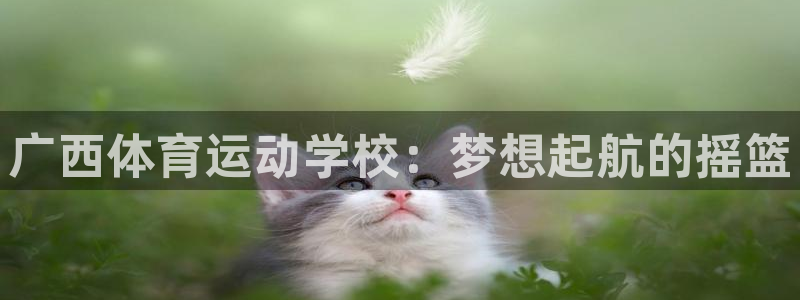 一竞技官网下载娱乐：广西体育运动学校：梦想起航的摇篮
