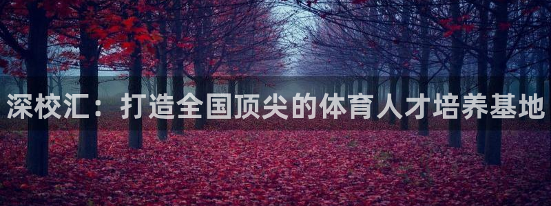 一竞技官方正版app集团官网首页网址：深校汇：打造全国顶尖的