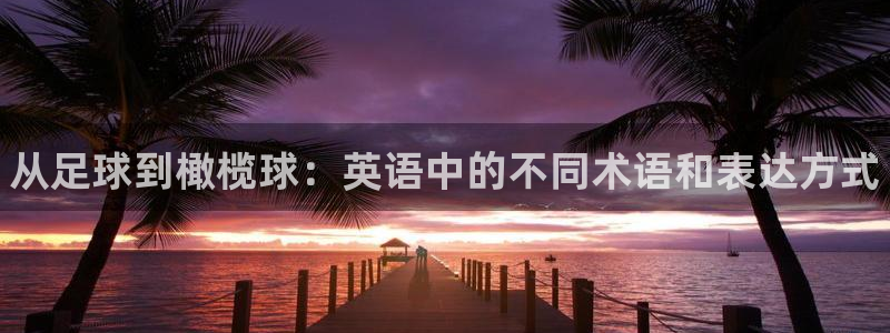 一竞技官方正版app娱乐：从足球到橄榄球：英语中的不同术语和
