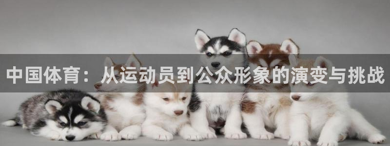 海南一竞技官网下载发展怎么样：中国体育：从运动员到公