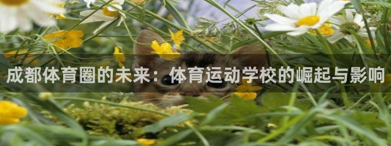 一竞技官网下载是干嘛的公司