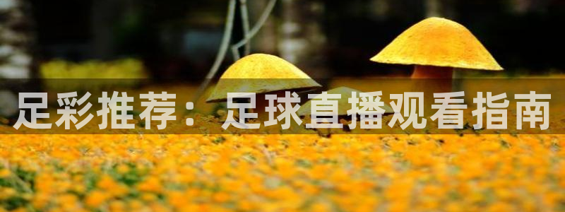 nba极速体育直播吧：足彩推荐：足球直播观看指南