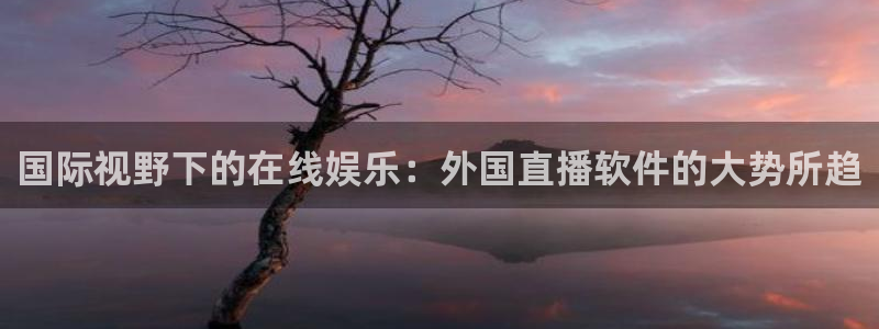 百事通nba直播极速体育直播：国际视野下的在线娱乐：外国直播软件的大势所趋