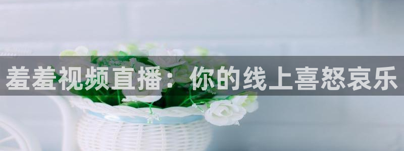 极速体育直播吧手机版
