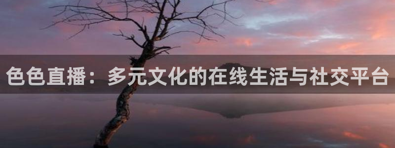 极速直播体育：色色直播：多元文化的在线生活与社交平台