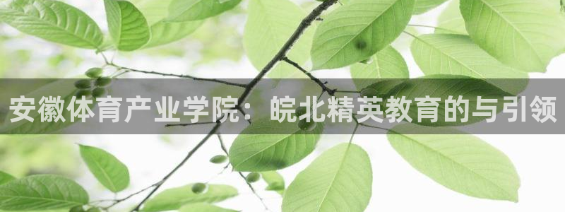 一竞技官网网址是多少：安徽体育产业学院：皖北精英教育的与引领
