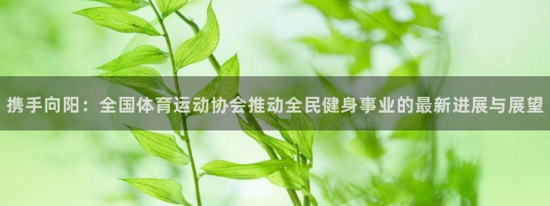 一竞技平台怎么样：携手向阳：全国体育运动协会推动全民健身事业